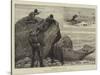 Duck-Shooting in Nova Scotia-John Charles Dollman-Stretched Canvas