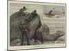 Duck-Shooting in Nova Scotia-John Charles Dollman-Mounted Giclee Print
