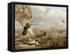 Duck Shooting-Henry Thomas Alken-Framed Stretched Canvas
