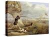 Duck Shooting-Henry Thomas Alken-Stretched Canvas