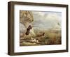 Duck Shooting-Henry Thomas Alken-Framed Premium Giclee Print