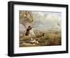 Duck Shooting-Henry Thomas Alken-Framed Premium Giclee Print