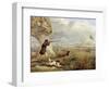 Duck Shooting-Henry Thomas Alken-Framed Premium Giclee Print