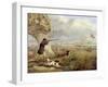 Duck Shooting-Henry Thomas Alken-Framed Giclee Print