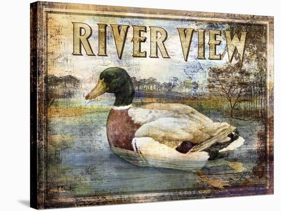 Duck Sign I-Paul Brent-Stretched Canvas