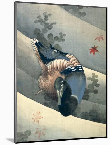 Duck Swimming in Water, 1847-Katsushika Hokusai-Mounted Giclee Print