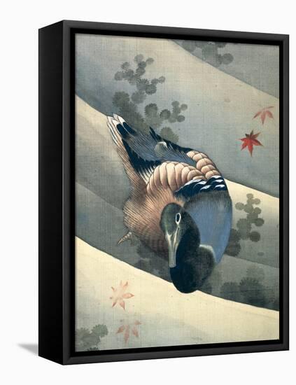 Duck Swimming in Water, 1847-Katsushika Hokusai-Framed Stretched Canvas