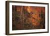 Duck-null-Framed Photographic Print