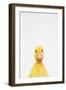 Duck-Tai Prints-Framed Art Print