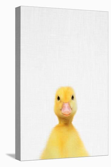 Duck-Tai Prints-Stretched Canvas