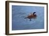 Duck-Michael Jackson-Framed Giclee Print