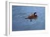 Duck-Michael Jackson-Framed Giclee Print