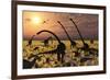 Duckbill Dinosaurs and Large Sauropods Share a Feeding Ground-null-Framed Art Print