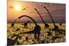 Duckbill Dinosaurs and Large Sauropods Share a Feeding Ground-null-Mounted Art Print