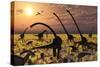 Duckbill Dinosaurs and Large Sauropods Share a Feeding Ground-null-Stretched Canvas