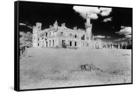 Ducketts Grove, Carlow, County Carlow, Ireland-Simon Marsden-Framed Stretched Canvas