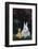Duckling and Rabbit-DLILLC-Framed Photographic Print