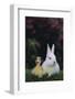 Duckling and Rabbit-DLILLC-Framed Photographic Print