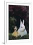 Duckling and Rabbit-DLILLC-Framed Photographic Print