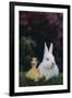 Duckling and Rabbit-DLILLC-Framed Photographic Print