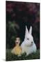 Duckling and Rabbit-DLILLC-Mounted Photographic Print