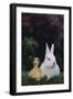 Duckling and Rabbit-DLILLC-Framed Photographic Print