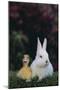 Duckling and Rabbit-DLILLC-Mounted Photographic Print