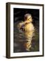 Duckling in the pond-Vivienne Dupont-Framed Art Print