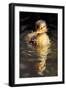 Duckling in the pond-Vivienne Dupont-Framed Art Print