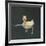 Duckling Swimming on Water Surface, UK-Jane Burton-Framed Photographic Print