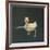 Duckling Swimming on Water Surface, UK-Jane Burton-Framed Photographic Print