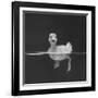 Duckling Swimming on Water Surface, UK-Jane Burton-Framed Photographic Print