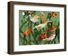 Duckling Swims Underwater Among Goldfish-Jane Burton-Framed Premium Photographic Print