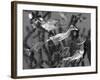 Duckling Swims Underwater Among Goldfish-Jane Burton-Framed Photographic Print