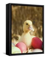 Duckling with Easter Eggs-Ada Summer-Framed Stretched Canvas