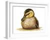 Duckling-Tim Knepp-Framed Giclee Print