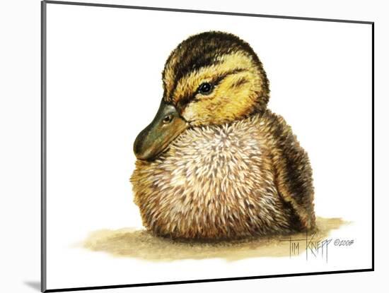 Duckling-Tim Knepp-Mounted Giclee Print