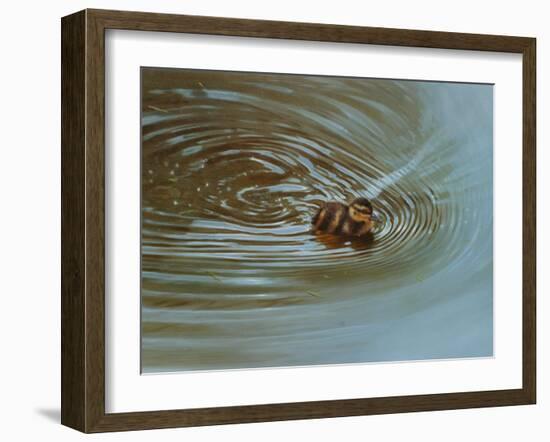 Duckling-Michael Jackson-Framed Giclee Print