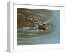 Duckling-Michael Jackson-Framed Giclee Print