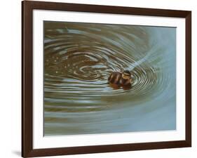 Duckling-Michael Jackson-Framed Giclee Print