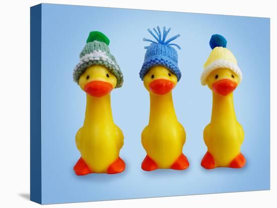 Ducklings in Woolly Hats-null-Stretched Canvas