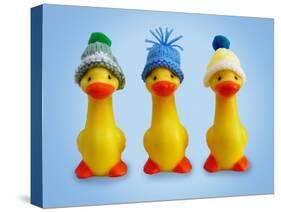 Ducklings in Woolly Hats-null-Stretched Canvas