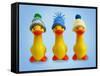 Ducklings in Woolly Hats-null-Framed Stretched Canvas