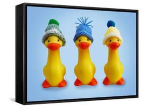 Ducklings in Woolly Hats-null-Framed Stretched Canvas