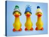 Ducklings in Woolly Hats-null-Stretched Canvas