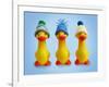 Ducklings in Woolly Hats-null-Framed Photographic Print