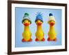 Ducklings in Woolly Hats-null-Framed Photographic Print