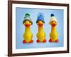 Ducklings in Woolly Hats-null-Framed Photographic Print