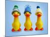 Ducklings in Woolly Hats-null-Mounted Photographic Print