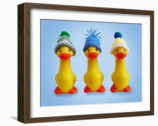 Ducklings in Woolly Hats-null-Framed Photographic Print